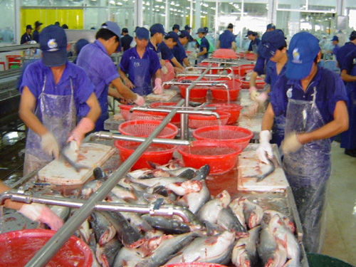 WWF-Fischratgeber: Pangasius aus Vietnam im Prozess der Zertifizierung